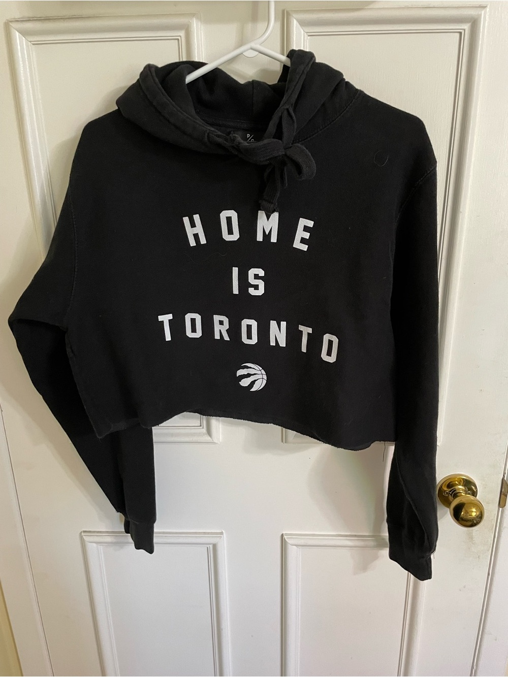 Nice Peace Collective RAPTORS collection HOME IS TORONTO Cropped Hoodie szM